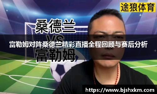 富勒姆对阵桑德兰精彩直播全程回顾与赛后分析