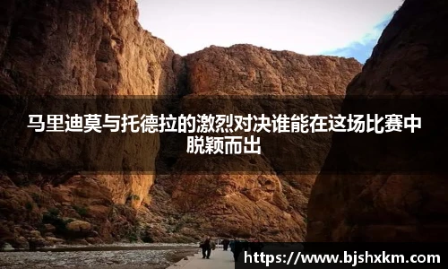 leyu乐鱼体育